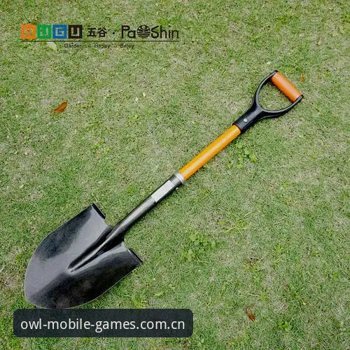 猫头鹰体育平台安全使用教程：从下载到竞猜全流程操作指南